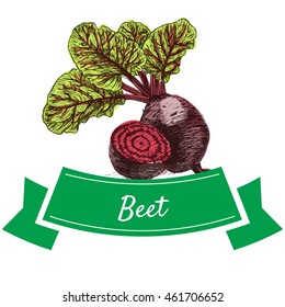 Vector illustration colorful set with beet. Illustration sorts of vegetables on white background