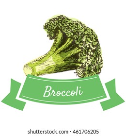 Vector illustration colorful set with broccoli. Illustration sorts of vegetables on white background