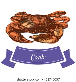 Vector illustration colorful set with crab. Illustration sort of seafood