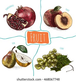protein in different fruits clipart
