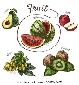Vector illustration colorful set with fruits and berries. Various of fruits and berries on white background