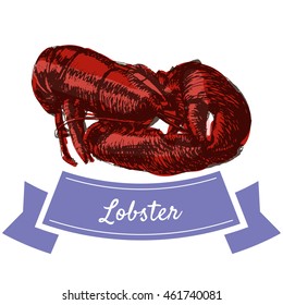 Vector illustration colorful set with lobster. Illustration sort of seafood