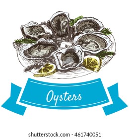 Vector illustration colorful set with oysters. Illustration sort of seafood