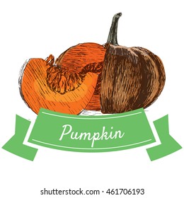 Vector illustration colorful set with pumpkin. Illustration sorts of vegetables on white background