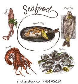 Vector illustration colorful set with seafood. Different kinds of seafood on white background