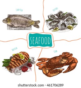 Vector illustration colorful set with seafood. Different kinds of seafood on white background