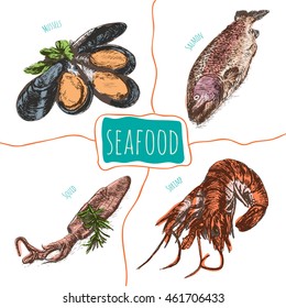 Vector illustration colorful set with seafood. Different kinds of seafood on white background