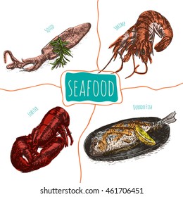 Vector illustration colorful set with seafood. Different kinds of seafood on white background