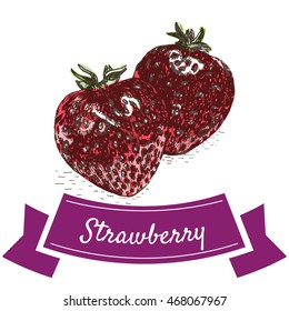 Vector illustration colorful set with strawberry. Illustration various of vegetables on white background