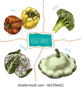 Vector illustration colorful set with vegetables. Different sort of vegetables on white background cauliflower