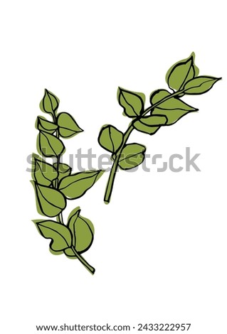 Vector illustration - colorful sketch with eucalyptus branches. Art for for prints, wall art, banner, background