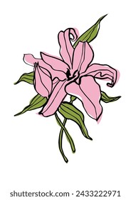 Vector illustration - colorful sketch with lily flowers . Art for for prints, wall art, banner, background