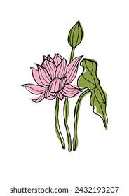 Vector illustration - colorful sketch with lotus flowers . Art for for prints, wall art, banner, background