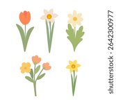 Vector Illustration of Colorful Spring Flowers Including Tulip, Daffodil, Daisy and Blossoms Isolated on White Background