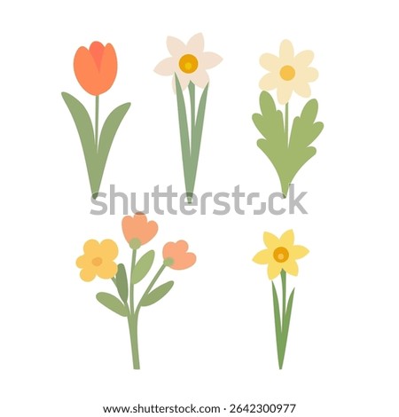 Vector Illustration of Colorful Spring Flowers Including Tulip, Daffodil, Daisy and Blossoms Isolated on White Background