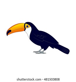 Vector illustration of a colorful toucan bird on the ground. On an isolated white background. 