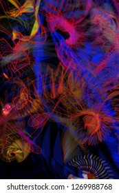 Vector illustration of a colorful wireframe structure formed by the interweaving of smoothly curved lines. A complex plexus backdrop resembling a fractal pattern. Crazy art concept.