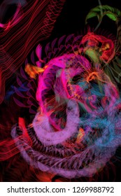 Vector illustration of a colorful wireframe structure formed by the interweaving of smoothly curved lines. A complex plexus backdrop resembling a fractal pattern. Crazy art concept.