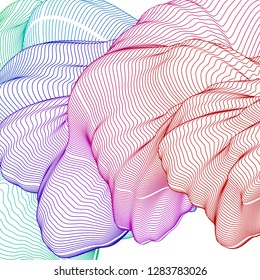 Vector illustration of a colorful wireframe structure formed by the interweaving of smoothly curved lines against white background. A complex plexus backdrop.