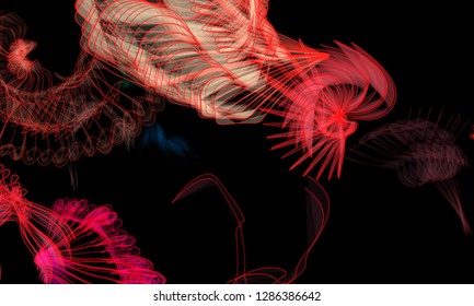 Vector illustration of a colorful wireframe structure formed by the interweaving of smoothly curved lines. A complex plexus backdrop resembling a fractal pattern. Crazy art concept.
