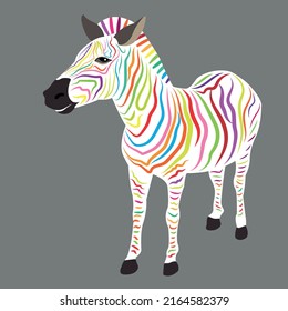 Vector illustration of colorful zebra isolated on grey background