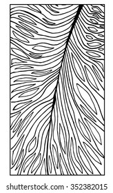 Vector illustration for coloring book. Creative monochrome card. Hand drawn macro texture.