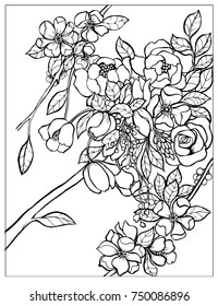 Vector illustration for coloring book or fabric.
