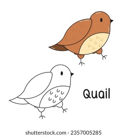 Vector illustration. Coloring book , Coloring quail. Cartoon animal. Clipart set for nursery poster, Practice skills