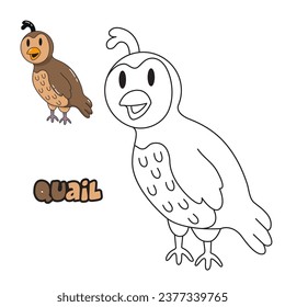 Vector illustration. Coloring book , Coloring quail. Cartoon animal. Clipart set for nursery poster, Practice skills
