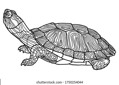 Vector illustration for coloring book. Realistic design. Pond slider. Turtle. Marine inhabitants. Children's illustration. Pet turtle red-eared slider