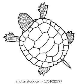 Vector illustration for coloring book. Realistic design pond slider or turtle. Marine inhabitants. Children's illustration. Pet turtle red-eared slider