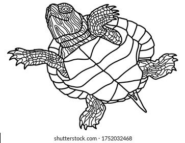 Vector illustration for coloring book. Realistic design pond slider or turtle. Marine inhabitants for children's illustration. Pet turtle red-eared slider