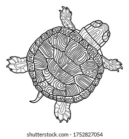 Vector illustration for coloring book. Realistic design pond slider or turtle. Marine inhabitants. Children's illustration. Pet turtle red-eared slider