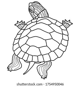 Vector illustration for coloring book. Realistic design pond slider or turtle. Marine inhabitants. Children's illustration. Pet turtle red-eared slider