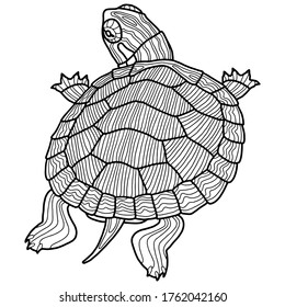 Vector illustration for coloring book. Realistic design pond slider or turtle. Marine inhabitants. Children's illustration. Pet turtle red-eared slider