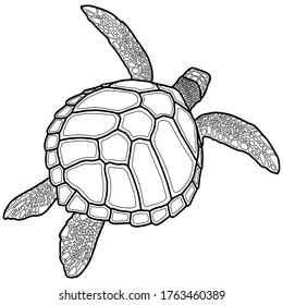 Vector illustration for coloring book. Realistic design. Sea turtle. Marine inhabitants. Children's illustration.