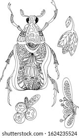 Vector illustration coloring book set of May beetle, flowers, berries. Drawn illustration of insects and flowers by liner for coloring, printing on packaging, logo, for design