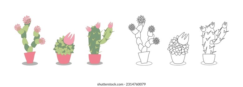 vector illustration coloring book - set of stylized indoor blooming cacti. Succulents in coral pots. An outline black and white drawing and a color version for an example.