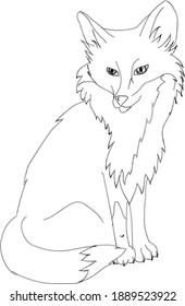 Vektorgrafik zum Färben des Buches Sly Fox.