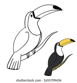 
ilustración vectorial de libro de colorear toucan en fondo blanco, niños