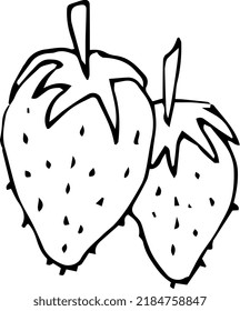 Vector illustration. Coloring by hand. Strawberries.