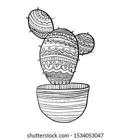 
vector illustration coloring cactus in a pot, plant