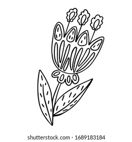 
vector illustration coloring flower, on a white background isolated