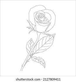 Vector illustration, coloring, Vector outline flowers. Line art coloring page with roses and leaves
