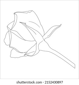 Ilustración vectorial, coloreado, Flores de contorno vectorial. Página de coloración de líneas de arte con rosas y hojas