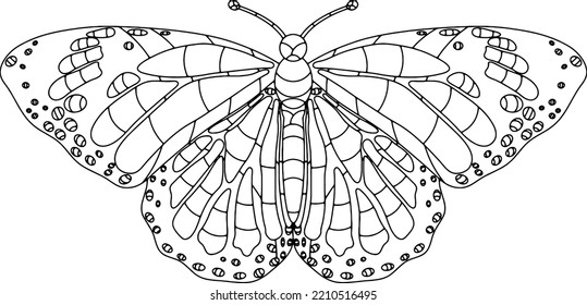 painted lady butterfly coloring page