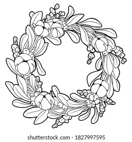 Vector illustration. Coloring page. Hand drawn Christmas wreath isolated on white. Outline drawing of a Christmas decoration. Mistletoe and cotton branch. Christmas home decoration.