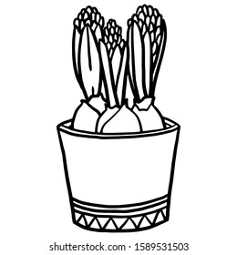 Vector illustration. Coloring page. Spring flowers. Three hyacinths in a pot. Coloring book for adults and children. Realistic design. Minimalistic illustration.