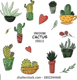 ilustración vectorial en colores: plantas, cactus, suculento. Objetos Doodle