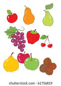 Vector illustration, coloured fruits, cartoon concept, white background.